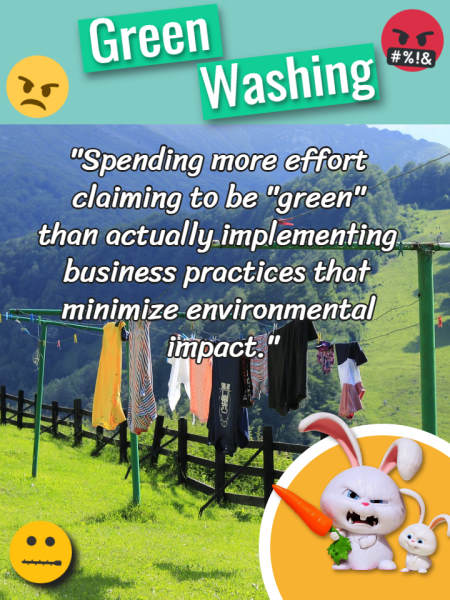 Image text defines "Greenwashing".
