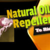 Natural Oil Repellents To Rid Fleas