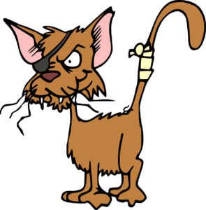 cats with bandages as a cartoon