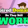 Do Expired Domains Still Work? – Benefits and Drawbacks