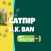 Catnip Ban In The United Kingdom