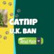 Catnip Ban In The United Kingdom