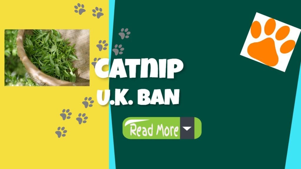 catnip uk ban picture