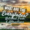 What are the Everglades? The National Park and Attractions