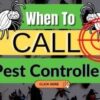 When To Call A Pest Control Company