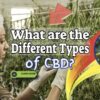 What are the Different Types of CBD? And the Best Kinds of CBD Supplements