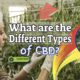 What are the Different Types of CBD? And the Best Kinds of CBD Supplements
