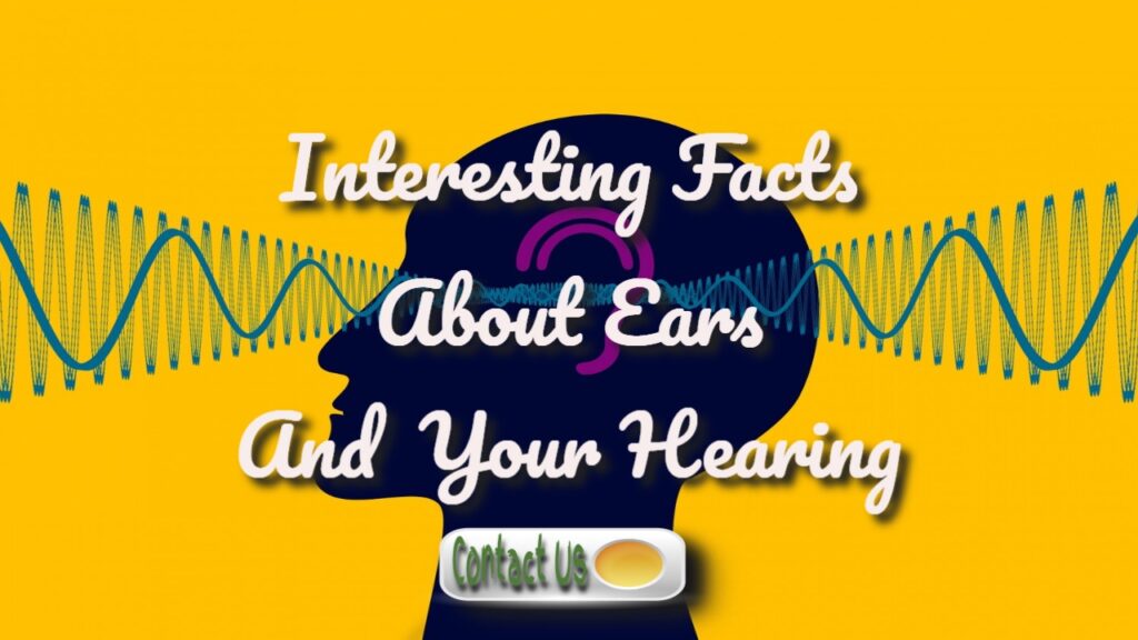 What Are Ears? What Do They Do? How Can I Keep My Ears Healthy?