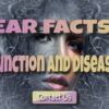 Interesting Facts About Human Ears: Functions of the Human Ear