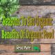 Benefits Of Organic Food – Reasons To Eat Organic