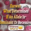 Can You Have Both Wet And Dry Earwax? – Dominant Or Recessive