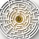 Mirror Trading International Investors To Report Loss Of BTC