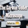 Earwax Under The Microscope: What It Is And Why You Should Care