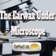Earwax Under The Microscope: What It Is And Why You Should Care