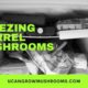 Freezing Morrel Mushrooms – Freeze-Drying Morrel Mushrooms
