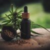 Hemp-Derived CBD Skin Care: Why CBDistillery Is a Brand You Can Trust