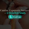 Canine Exposure Surgery – A Detailed Study