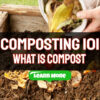 Composting 101 – What is Compost and Types of Composting