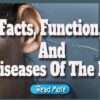 Facts, Function, and Diseases of the Ear