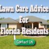 Lawn Care Advice for Florida Residents