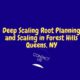 Deep Scaling Root Planing and Scaling in Forest Hills Queens, NY