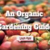 How to Garden Naturally: An Organic Gardening Guide