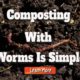 Indoor Composting With Worms Is Simple With These Steps
