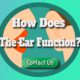 How Does the Ear Function?