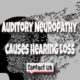 Auditory Neuropathy Causes Hearing Loss