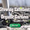 Growing Excellent Organic Gardens