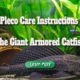 Pleco Care Instructions – the Giant Armored Catfish