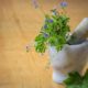 The Role of Diet for Natural Wellness