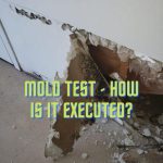 Mold Test – How is it Executed?