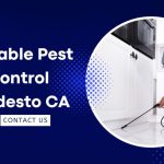 Family Friendly Pest Control Modesto CA Keeping Your Home Safe