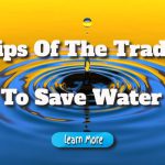 Tips Of The Trade To Save Water