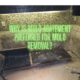 Why Is Mold Abatement Preferred For Removal of Mold?