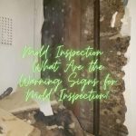 Mold Inspection – What Are the Warning Signs for Mold Inspection?