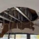 Water Damaged Ceiling Repairs