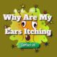Why Are My Ears Itching