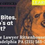 Dog Bite Attorney Rittenhouse Square Philadelphia PA