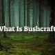 What Is Bushcraft? Skills for Survival and Self-Reliance