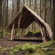 Wilderness Shelters 101: Understanding Different Types