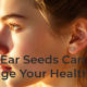 How Sticking A Seed On Your Ear Can Change Your Health