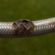Emergency Plumber: Steps for Burst Pipes and Flexi Hoses