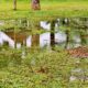 Blocked Stormwater Drains: Causes and Solutions in Wollongong