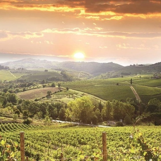 Winery