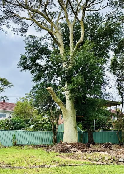 Months After Lightening Strike