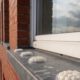 Bird Proofing with Gel Repellent: No Spikes or Netting Needed