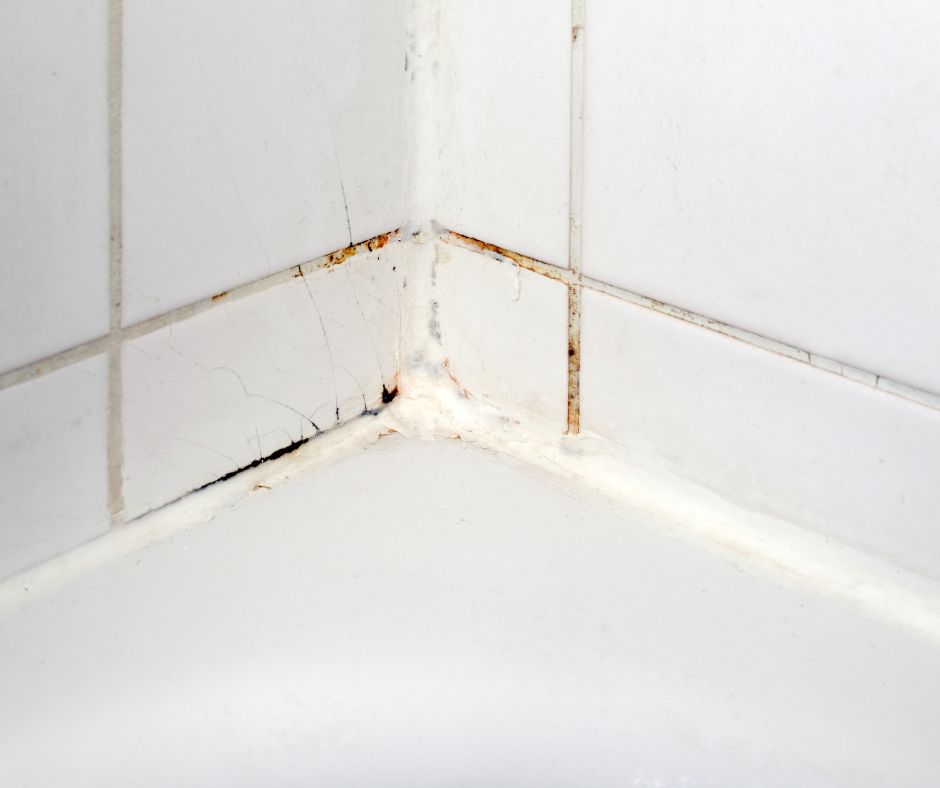 Holes In Shower Grout: Problems and Solutions for Sydney Homes