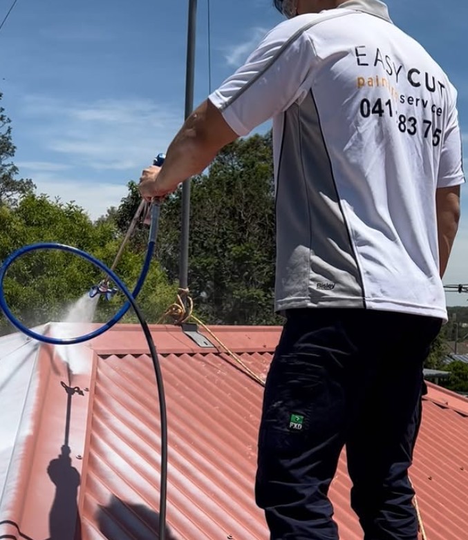 Metal Roof Painting: Insights from a Sydney Painter in The Hills District